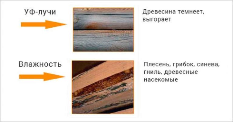 Повреждение древесины ультрафиолетом и влагой