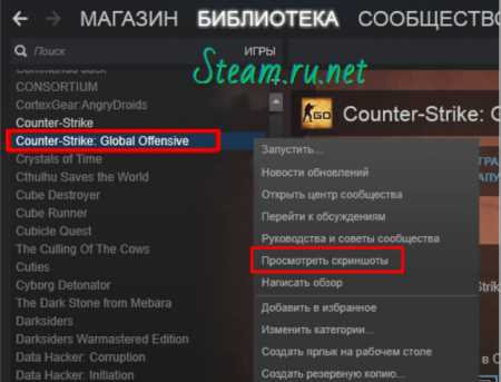 Метод 2: Папка со скриншотами Steam