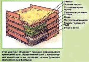 Учет условий для работы компостной ямы