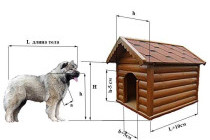 Как выбрать размер будки для собаки: советы и рекомендации