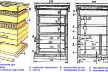 Чертеж улья дадан на 12 рамок: размеры и особенности конструкции для пчеловодов