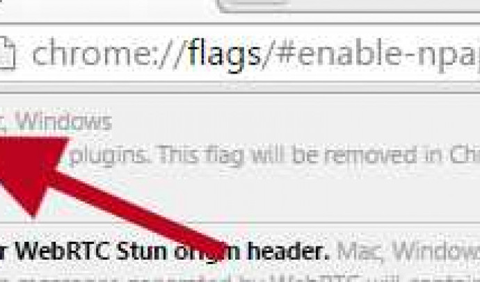 Включение NPAPI в Chrome с помощью флагов