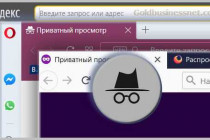 Что такое приватный режим?