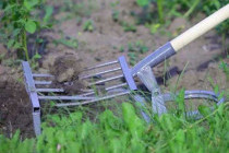 Как выбрать самую эффективную лопату крот для работы в саду: советы и рекомендации