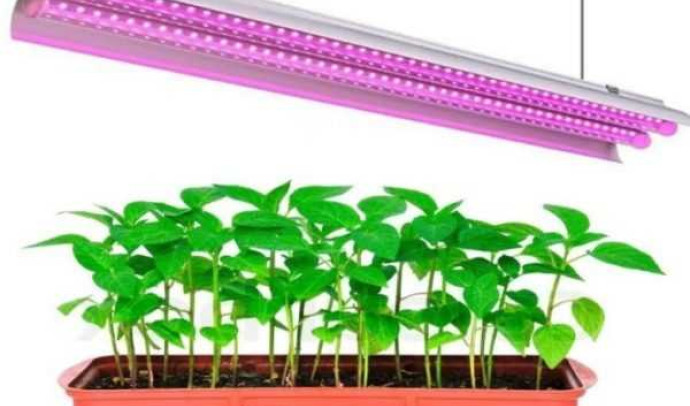 Фитолампа для растений: полезные советы по выбору и применению