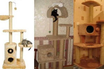 Как сделать дом для кота своими руками: пошаговые инструкции и профессиональные чертежи