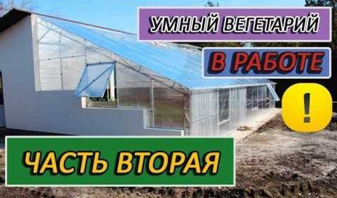 Как самому построить односкатную теплицу из поликарбоната: подробная инструкция