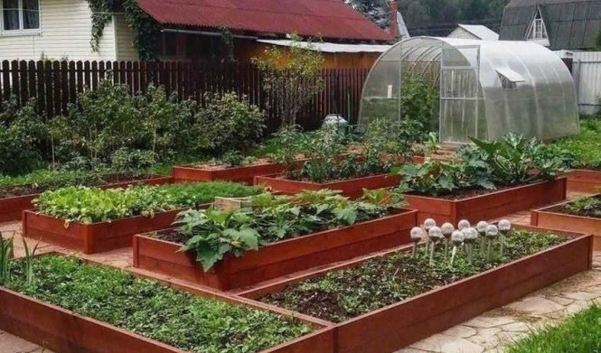 Профессиональные советы по созданию умной грядки в саду: как сделать так, чтобы растения росли лучше всего