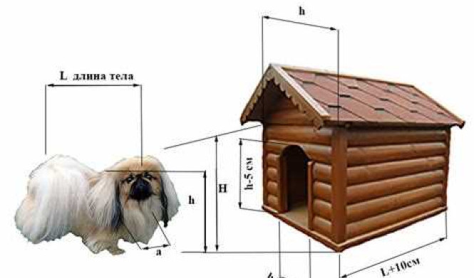 Как сделать будку для собак своими руками: пошаговые инструкции с фото. Лучший способ обустроить комфортный дом для вашего питомца
