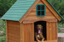 Как своими руками сделать комфортную будку для собаки: подробная инструкция с фото