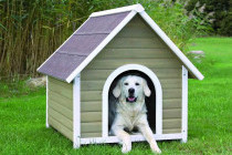 Как сделать домик для собаки своими руками: подробная инструкция с фото и видео