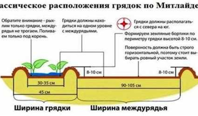 Как расположить грядки на участке по сторонам света схема