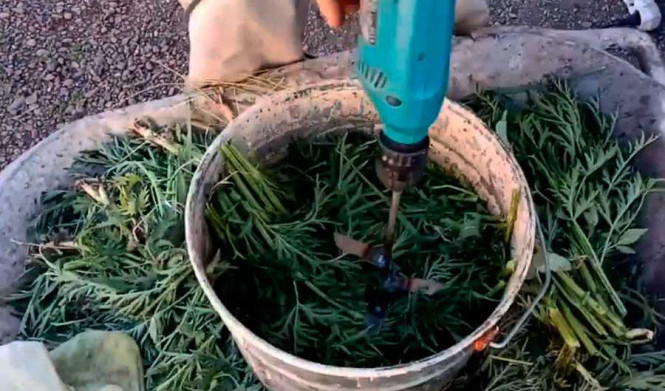 Как сделать свой садовый электрический измельчитель травы за несколько часов: пошаговая инструкция
