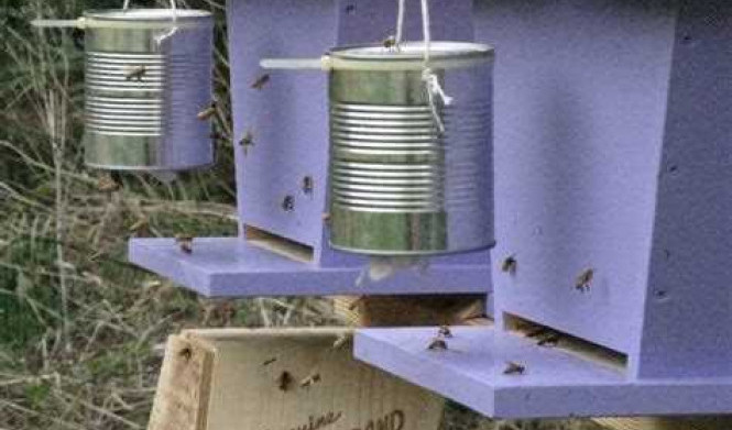 Как сделать улей своими руками: пошаговая инструкция для начинающих пчеловодов