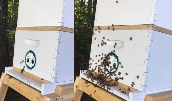 Как сделать улей своими руками: пошаговая инструкция для начинающих пчеловодов