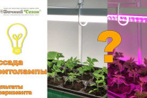 Фитолампы для растений: как выбрать и использовать правильно? Полезные советы и рекомендации