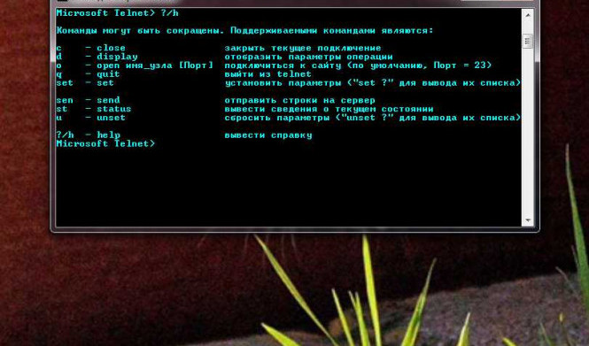 Команда telnet: руководство по использованию
