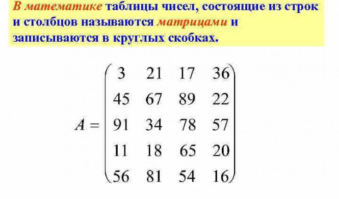 Массив 1С: основные аспекты и применение в программировании