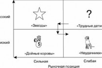 Матрица бостонской консалтинговой группы: основные принципы и примеры применения