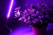 Подсветка для растений: как выбрать и установить для здоровья и роста растений