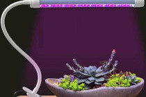 Светодиодные лампы для растений: как правильно использовать их в домашнем саду