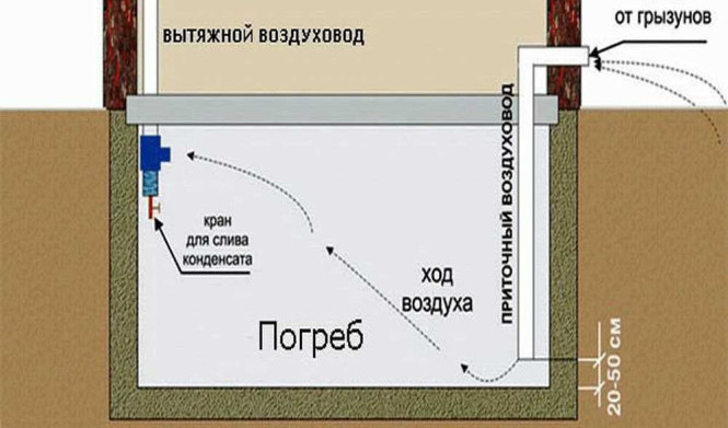 Вентиляция погреба своими руками: подробная схема и инструкция