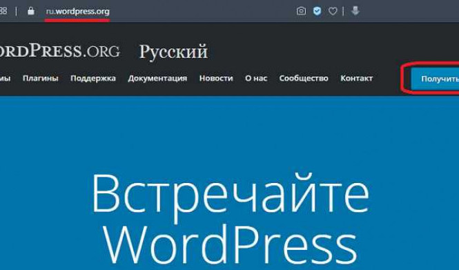 Установка WordPress на Denwer: подробная инструкция