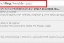 Как включить флаги Yandex для поддержки NPAPI