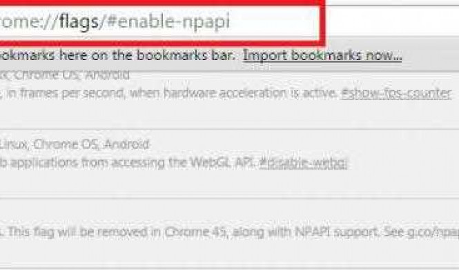 Как включить флаги Yandex для поддержки NPAPI
