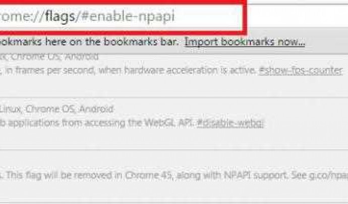 Как включить флаги Yandex для поддержки NPAPI