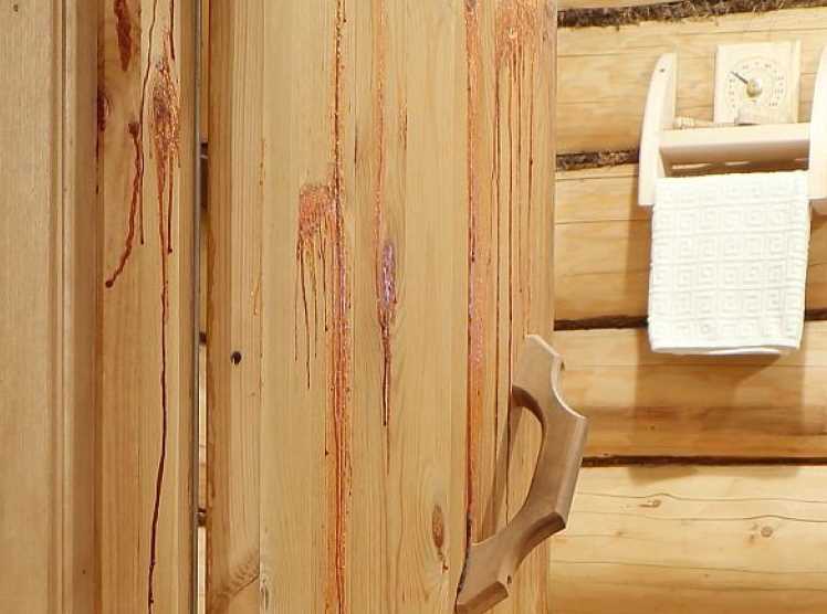 Рейтинг производителей деревянных дверей для бани